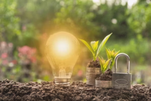 Lightbulb in landscape